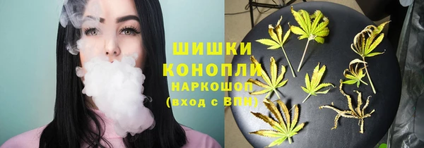прущие грибы Верхний Тагил