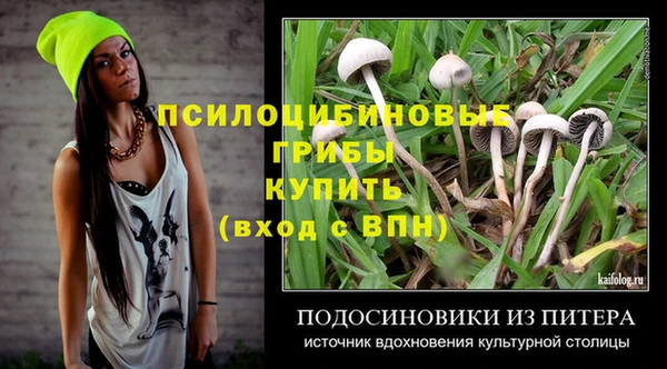 прущие грибы Верхний Тагил