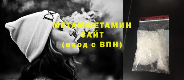 прущие грибы Верхний Тагил