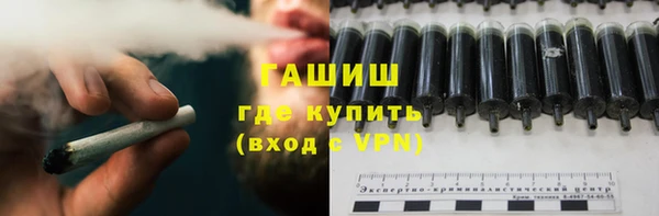 прущие грибы Верхний Тагил
