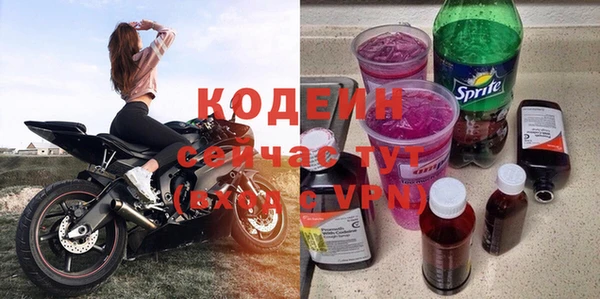 прущие грибы Верхний Тагил