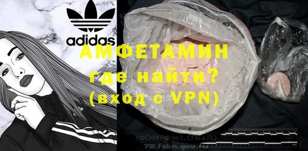 прущие грибы Верхний Тагил