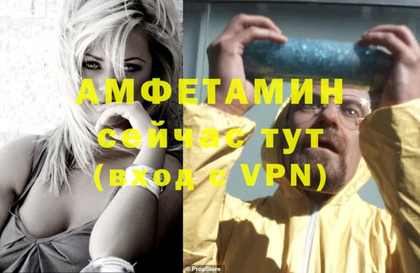 прущие грибы Верхний Тагил
