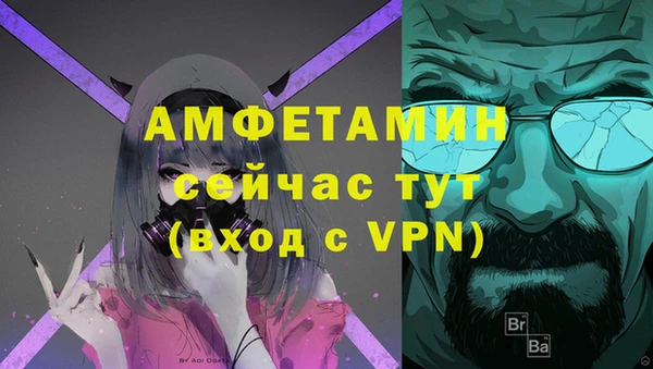 прущие грибы Верхний Тагил