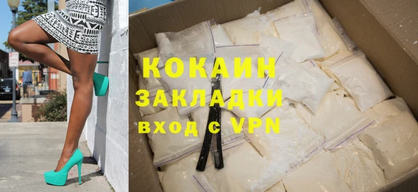 прущие грибы Верхний Тагил