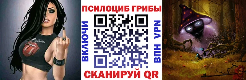 Псилоцибиновые грибы GOLDEN TEACHER  Купить где  Краснозаводск 